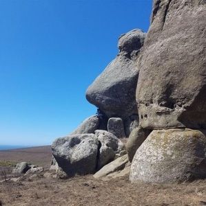 Meet your Posher, Kiko